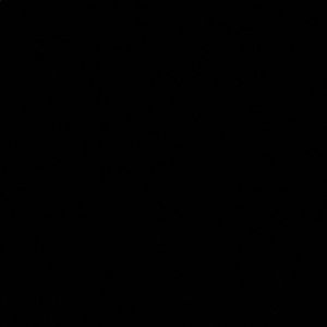 Meet your Posher, Samuel